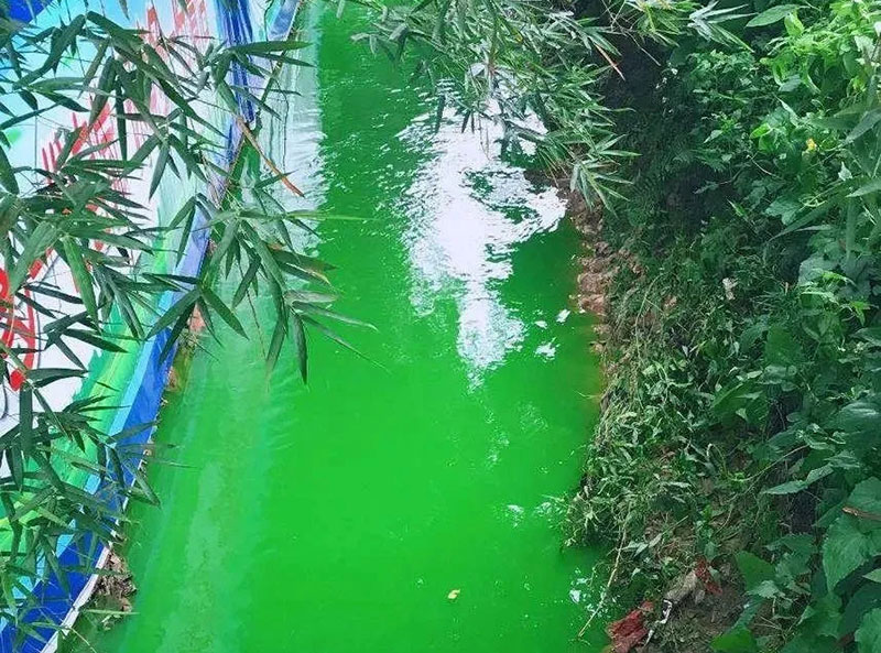 觸目驚心！水全都“染綠”了！多家企業(yè)被查處！