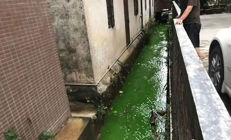 觸目驚心！水全都“染綠”了！多家企業(yè)被查處！